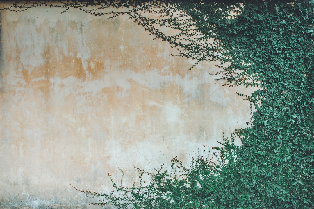 Photo Greenery wall